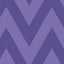 Purple Zig Zag